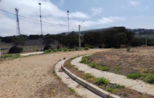 Industrial En Venta En Puchuncaví