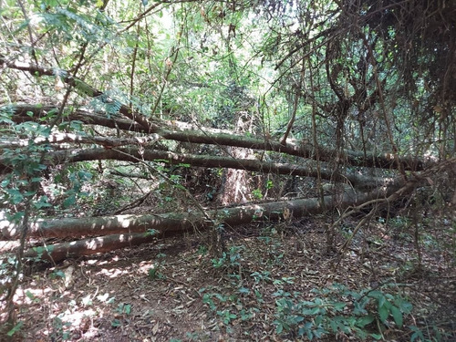 Imagem 17 de 24 de Terreno Em Caxito, Maricá/rj De 1060m² À Venda Por R$ 150.000,00 - Te2148374-s