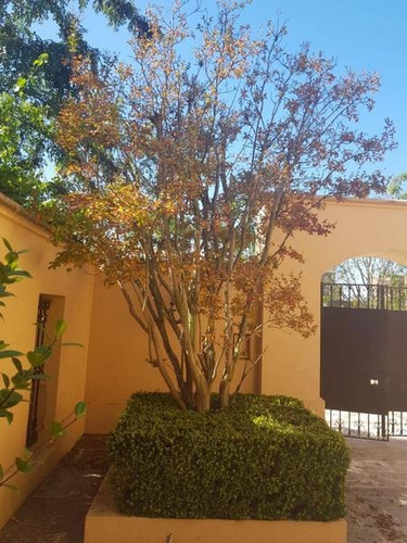 Imagen 3 de 14 de Casa En Venta En Complejo Nordelta - La Isla