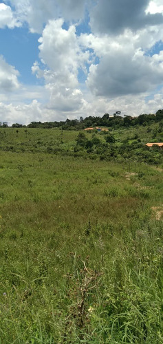 Chácara Em Mairiporã - Excelente Oportunidade
