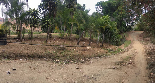 Imagen 2 de 30 de Parcela Con Bienhechurías En San Juan De Los Morros, Guárico