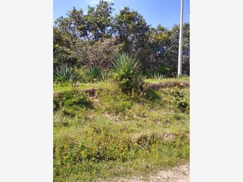 Imagen 1 de 6 de Terreno En Venta Yelapa