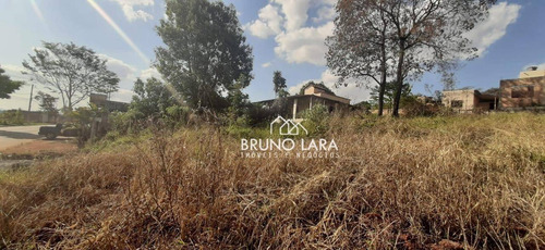 Imagem 5 de 5 de Lote À Venda Em Igarapé Bairro Novo Igarapé. - Te0037