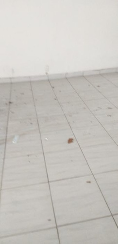 Prédio Inteiro À Venda Na Avenida Teixeira E Souza, Centro, Cabo Frio - Rj - Liv-10405