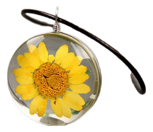 Collar Flor Natural Preservada Amor Amistad Mujer