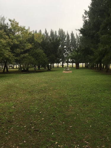 Imagen 4 de 21 de 390 Has. Campo Ganadero A Tranquera Cerrada