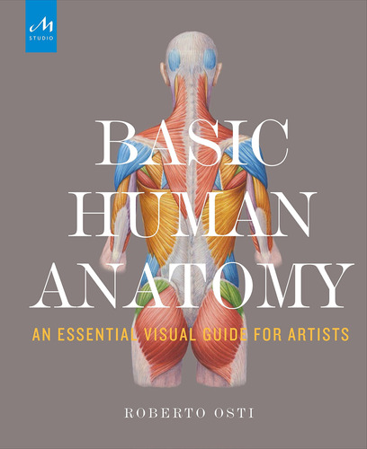 Anatomia Humana Basica: Una Guia Visual Esencial Para Artist