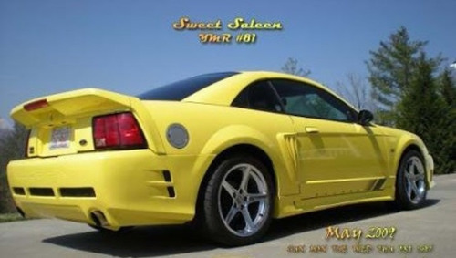 Lip Defensa Delantera Mustang Saleen 99 Al 04 Fibradevidrio