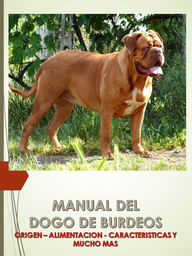 Conoce Dogo De Burdeos Perro Origen Manual Alimentac 10pdf