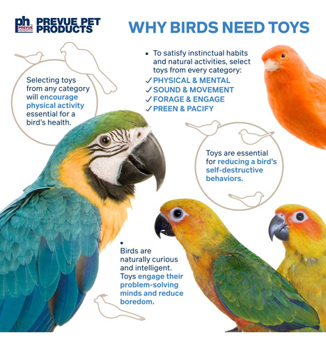 Palitos Hendryx Pixie De Toy Ph Prevue Para Pájaros