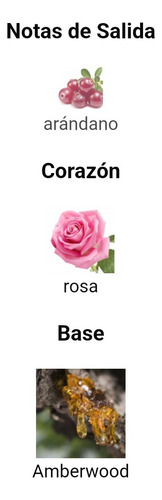 Perfume Mystic Rose 80ml Zara