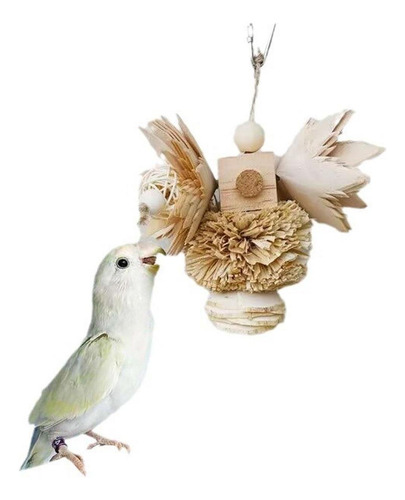Gaiola De Brinquedo De Mastigar Decorada, Exercício Bola De