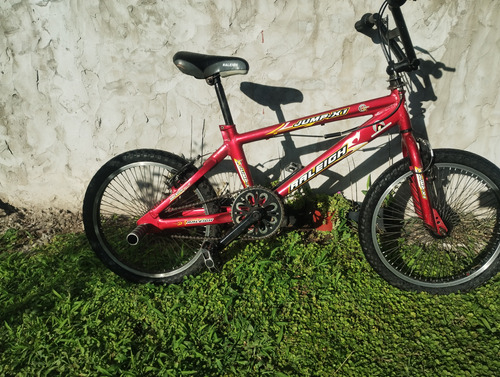 Bicicleta Bmx Raleigh  Jump-x1