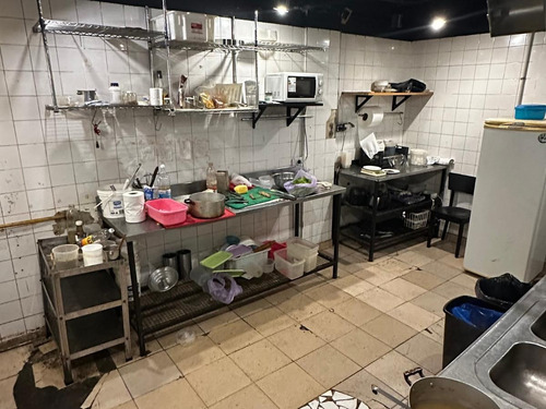Bar, Cafetería, Comida Gourmet