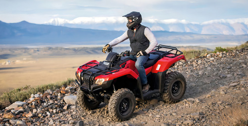 4 Pneu Maxxis Quadriciclo Honda Fourtrax 24x8-12 E 24x10-11