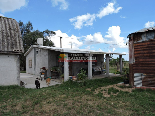 Imagen 23 de 23 de Chacra En Venta, Canelón Chico, 3 Has, Muy Linda Casa!