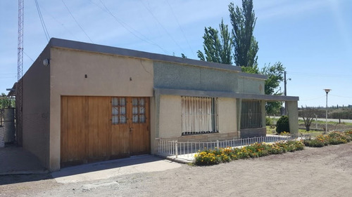 Venta De Finca En San Rafael Mendoza