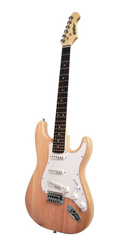 Guitarra Electrica Stratocaster Accesorios