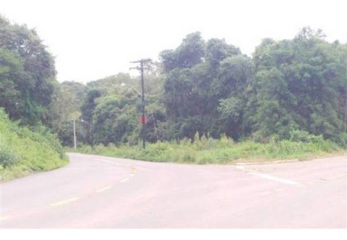Imagem 1 de 5 de Terreno - Conceicao Da Linha Feijo - Ref: 4104 - V-4104