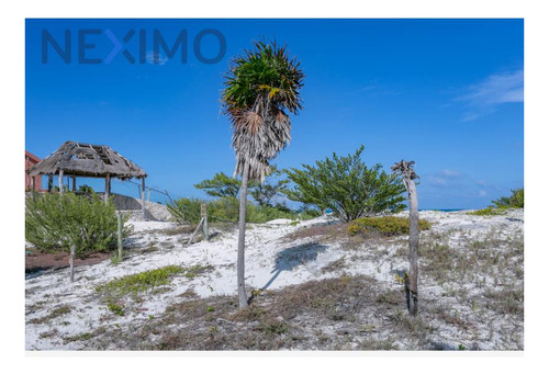 Imagen 4 de 20 de Terreno En Venta En Isla Blanca