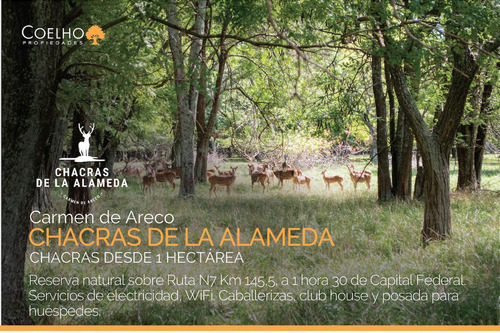 Terreno En Venta En Carmen De Areco - Chacras De La Alameda