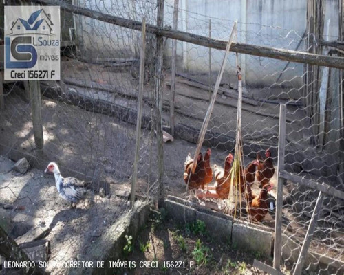 Imagem 5 de 11 de Chácara Para Venda Em Pinhalzinho, Zona Rural, 3 Dormitórios, 1 Suíte, 5 Vagas - 303_2-1186269