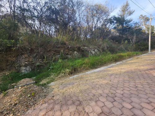 Venta Lote Gladiola 38 De Vistas Panorámicas Con Todos Los Servicios Y Proyecto Incluído En Fracc Rancho San Diego Ixtapan De La Sal Edomex