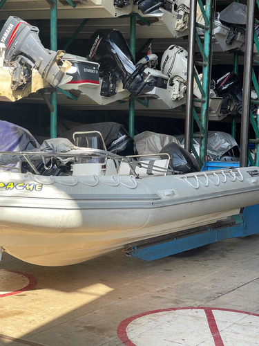 Imagen 2 de 20 de Semirrigido Viking 490 Mercury 60 Hp 4 Tiempos No Bim