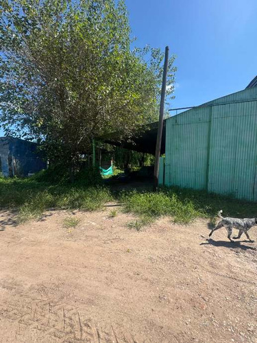 Campo En Venta En Carlos Keen