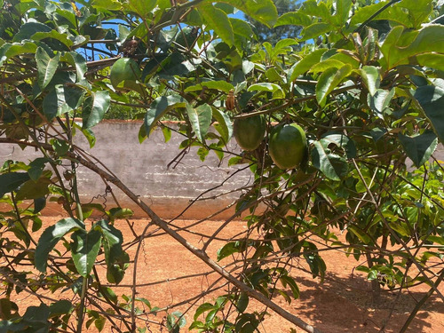 Imagem 11 de 29 de Chácara 5mil M2, Casa Sede Com 3 Suítes, Chále Grande Com Área Gourmet, Piscina Aquecida, Campo De Futebol, Pomar Com Pés De Frutas - Ch00186 - 70446769