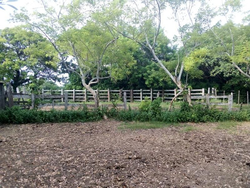 Venta Rancho Ganadero 100 Hectáreas Tamiahua Veracruz