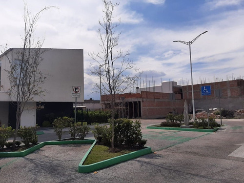 Terrenos En Venta Metepec Fraccionamiento  Botanico