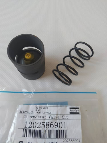 Kit Válvula Termostato N/p 1202-586-901 Original