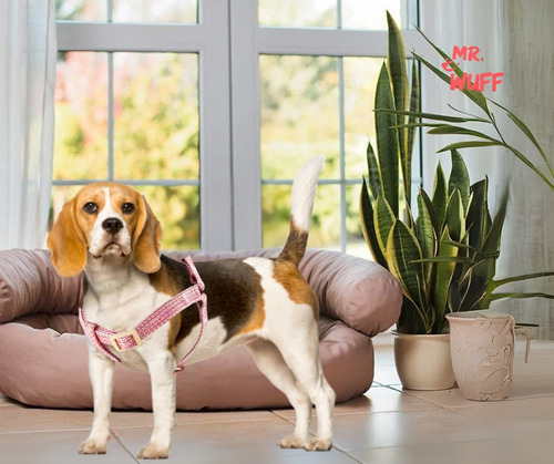 Pechera Arnes De Seguridad Para Perros Resistente Mr Wuff Rosa S