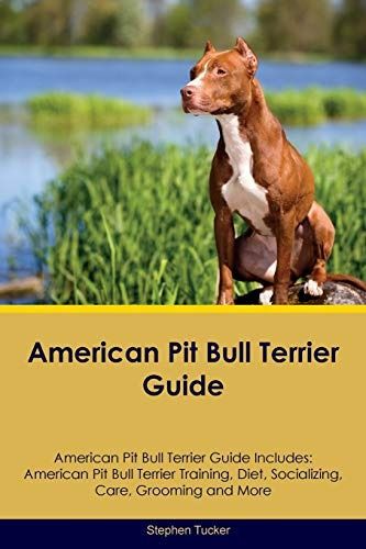 American Pit Bull Terrier Guide American Pit Bull Terrier Gu