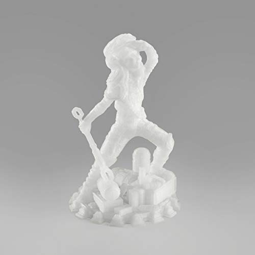 Filamento Para Impresora 3d Dremel Digilab Petg-tra-01, 1,75