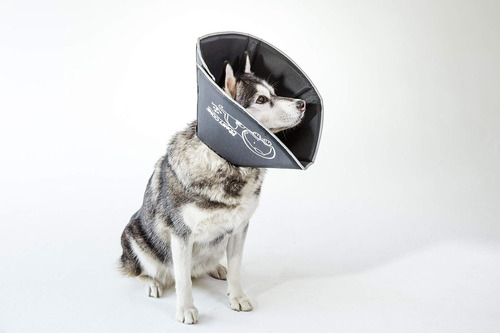 Comfy Cone Cono Para Perros, Gatos, Grande, Negro - Comfo...