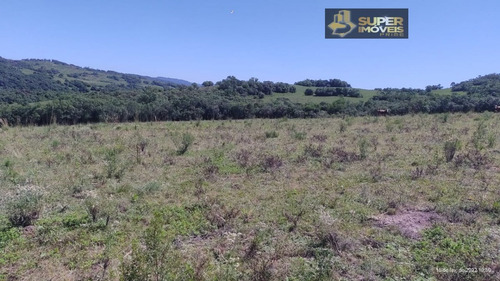 Imagem 12 de 30 de Fazenda A Venda No Bairro Centro Em Canguçu - Rs. - 2495-1