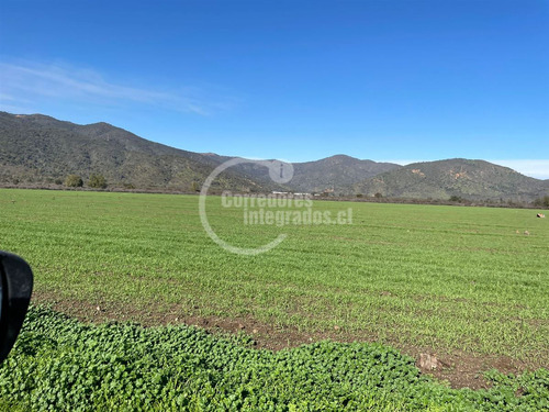 Agrícola En Venta En San Pedro