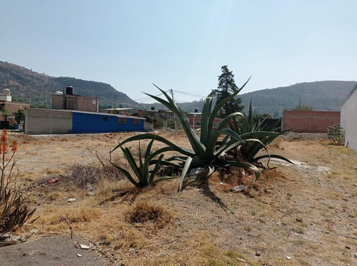 Terreno Habitacional En Venta En San Miguel Tlaixpan, Texcoco, México