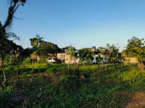 Imagem 6 de 13 de Chácara Lado Serra Em Itanhaém - 7032