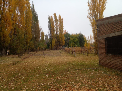 Finca En Venta En C. Benegas, San Rafael - Ideal Para Vivir O Emprender ¿buscás Un Lugar Para Disfrutar De La Tranquilidad Y La Naturaleza?