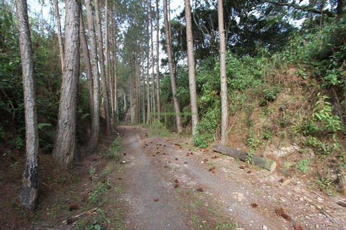 Imagem 29 de 30 de Sítio Com 5 Dormitórios À Venda, 100000 M² Por R$ 1.500.000,00 - Zona Rural - Ibiúna/sp - Si0045