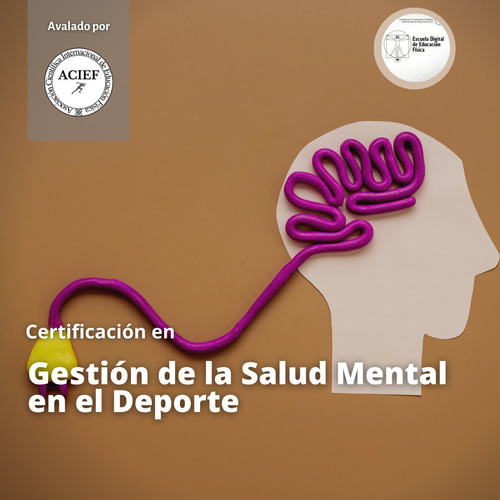 Curso De Gestión De La Salud Mental En El Deporte