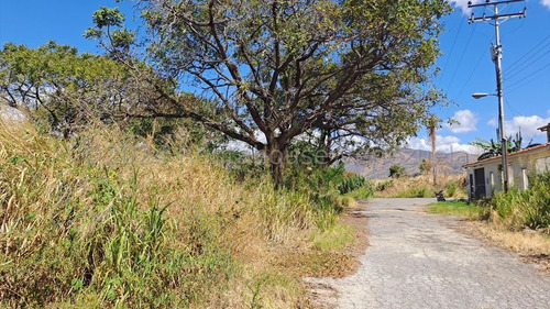 Venta Terreno Plano 450 Mts2 Urb Santa Rosalia Cagua Gjg 24-14647