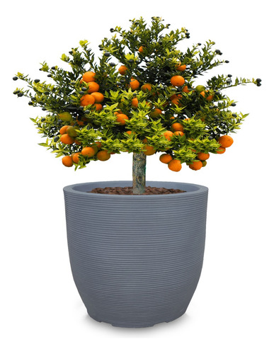 1 Vaso Grande Frutifera Limoeiro Laranjeira Amoreira 70x70 R