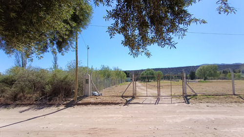 Terreno De 2500m2 (1/4 Ha) En Nogolí, San Luis, Con Luz Y Agua