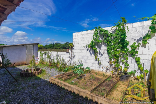Imagem 12 de 12 de Chácara - Térrea No Bairro Chácaras Fazenda São João, 10 Metros Da Praia, Peruíbe-sp - 5675
