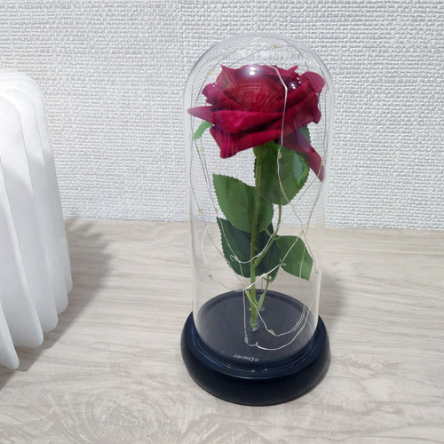 Cúpula De Vidro Rosa Luminária Presente Dia Dos Namorados