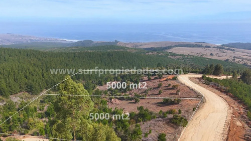 Bucalemu - 5000 Mt2 Con Vista Al Mar Y A 5 Min De La Playa